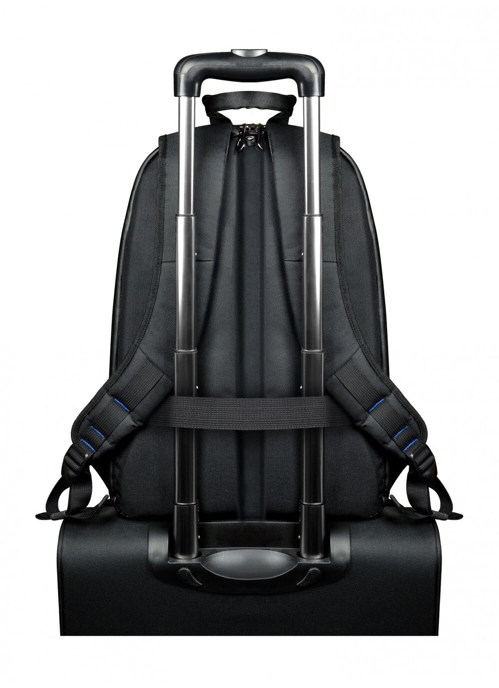 Port Designs Chicago Evo 39,6 cm (15.6") Rygsæk Sort
