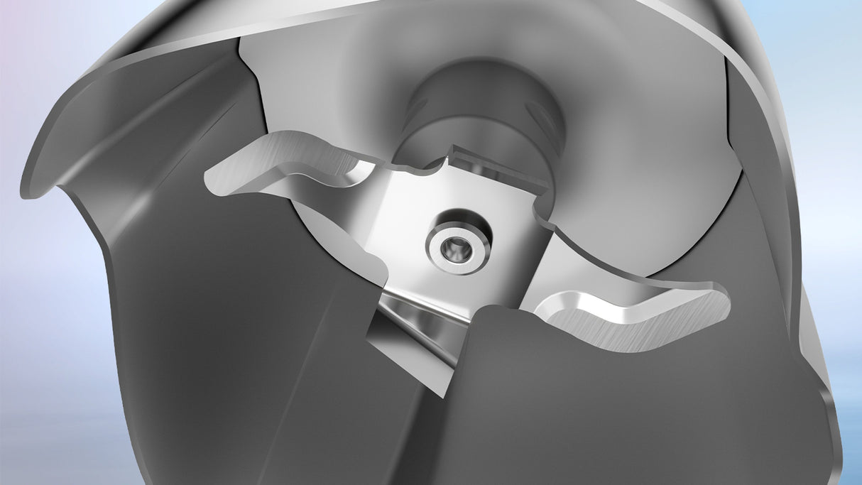 Bosch Serie 4 MSM4B610 blender 0,6 L Nedsænkning blender 1000 W Anthracit, Sort