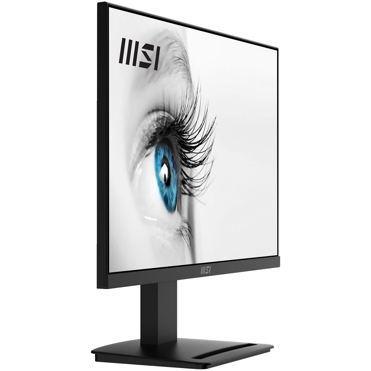 MSI PRO MP2412 24 VA 1920 x 1080 (Full HD) HDMI DisplayPort 100Hz