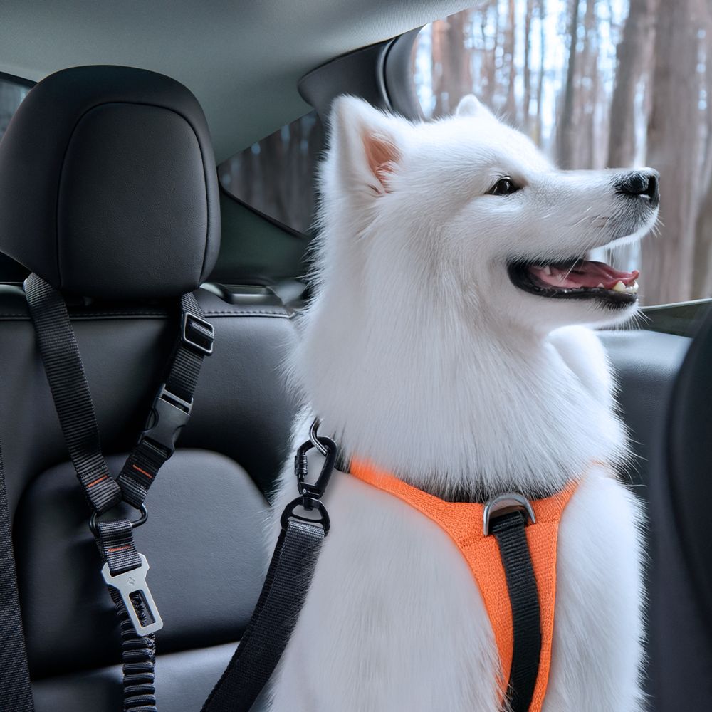 Spigen PS100 Universal Pet Seat Belt - sort