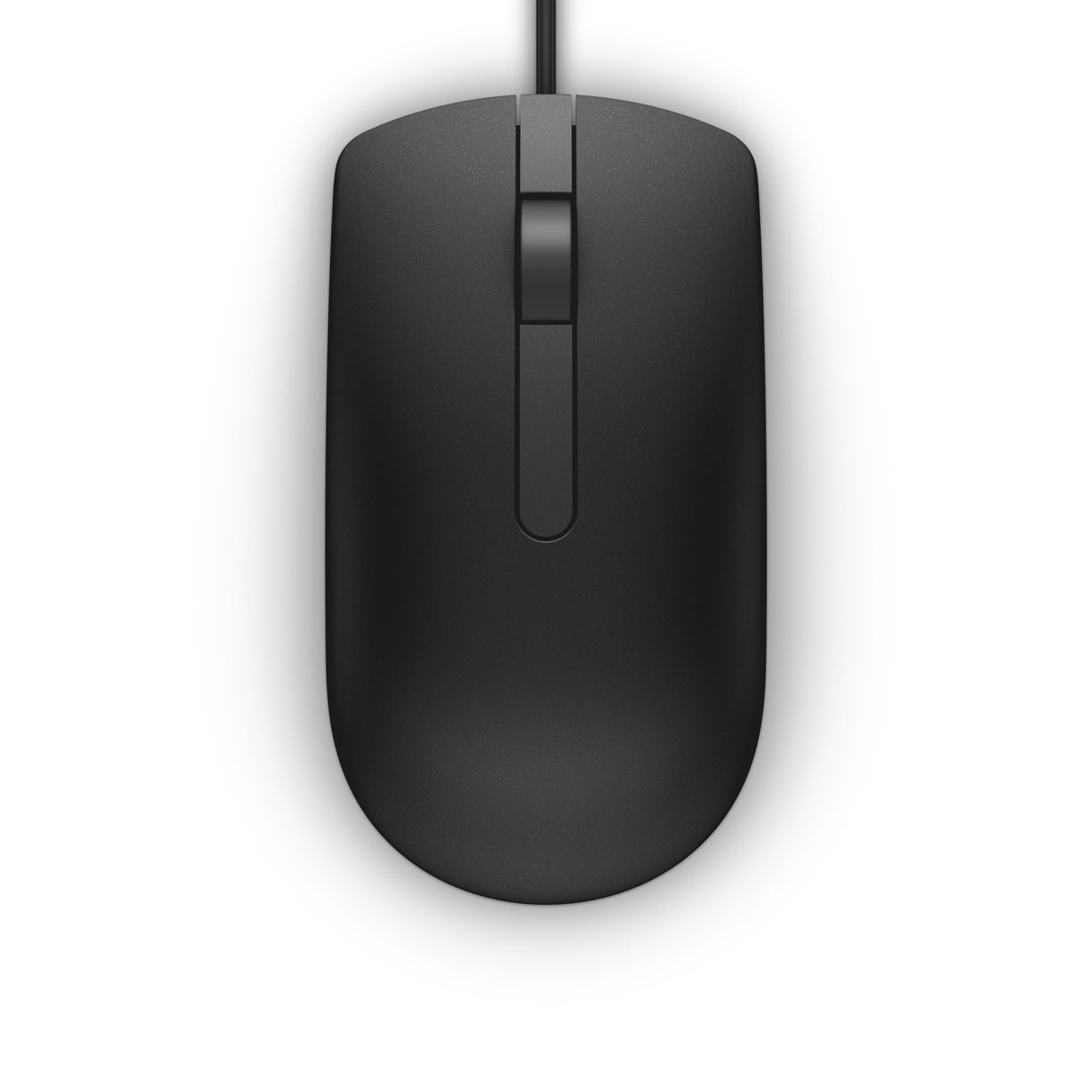 DELL MS116 mus Kontor Ambidextrous USB Type-A Optisk 1000 dpi