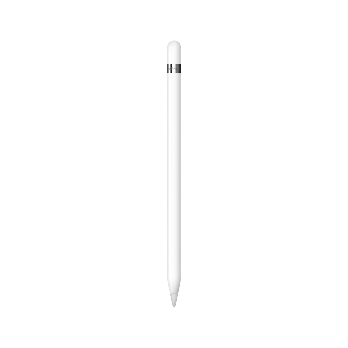 Apple Pencil - 1. generation - (2025)