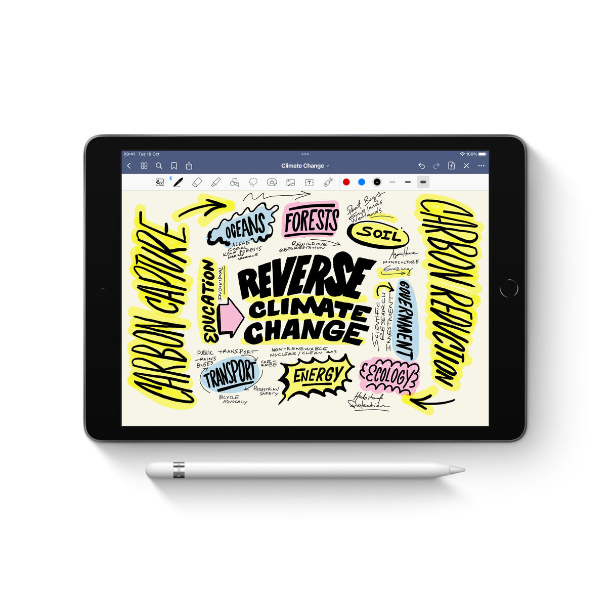 Apple Pencil - 1. generation - (2025)