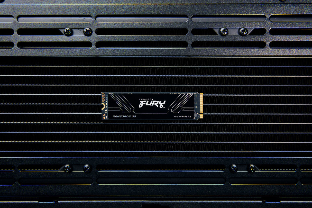 Kingston Technology 2T FURY RENEGADE G5 M.2 2280 NVMe SSD