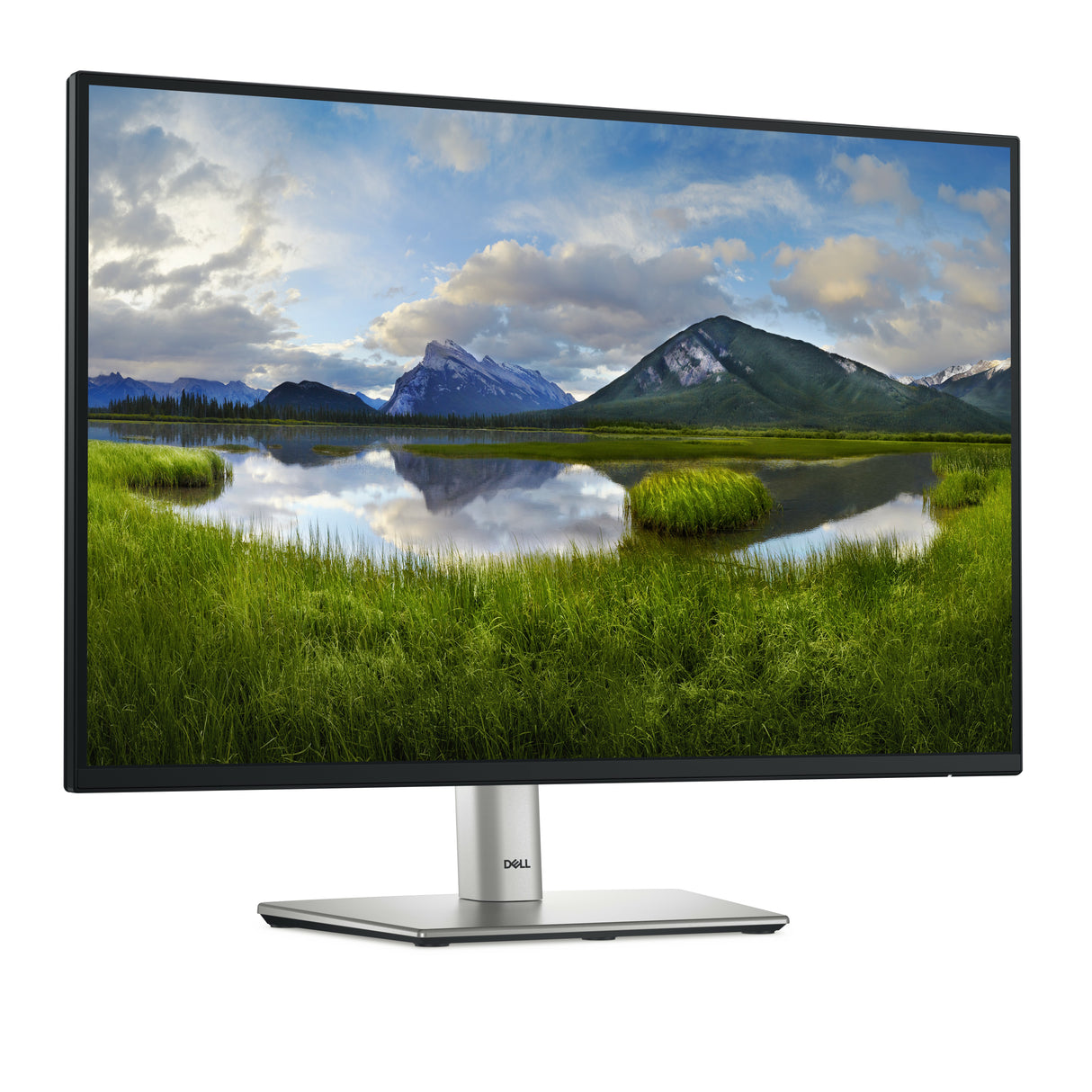 Dell P2425 24 1920 x 1200 (WUXGA) VGA (HD-15) HDMI DisplayPort 100Hz Pivot Skærm