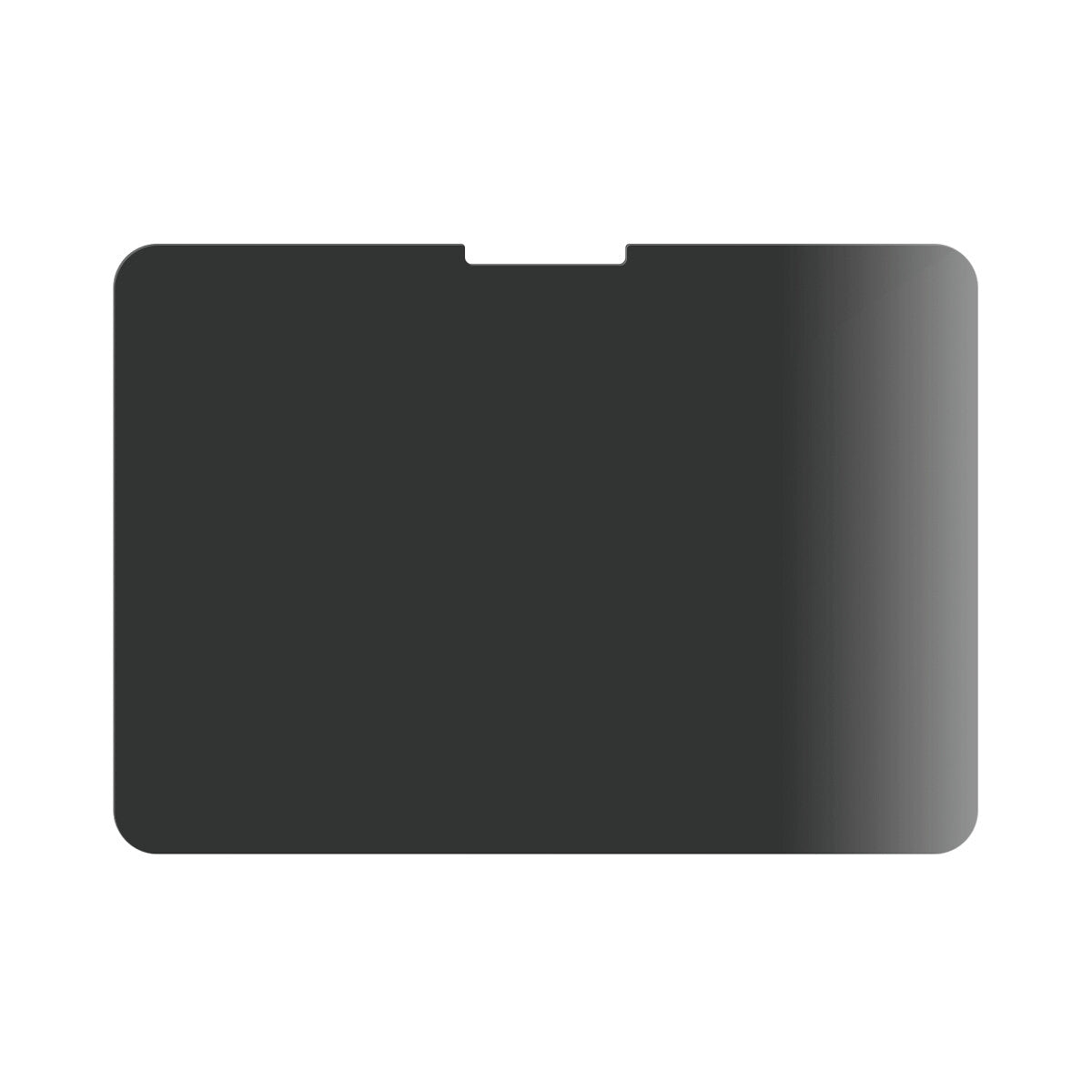 PanzerGlass ® 2-Way Privacy Skærmbeskyttelse ® iPad Pro 11'' (2024-2025) | Ultra-Wide Fit