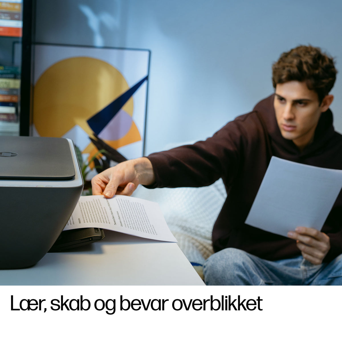 HP Deskjet 2910 All-in-One Blækprinter