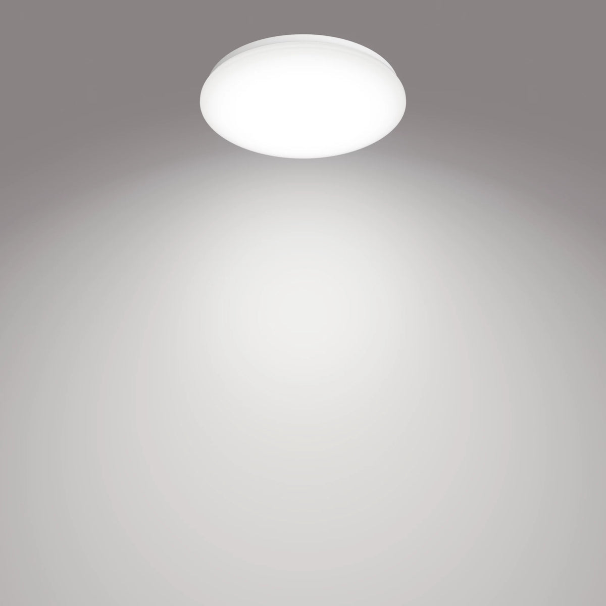 Philips Moire Loftslampe 17W 4000K Køligt hvidt lys