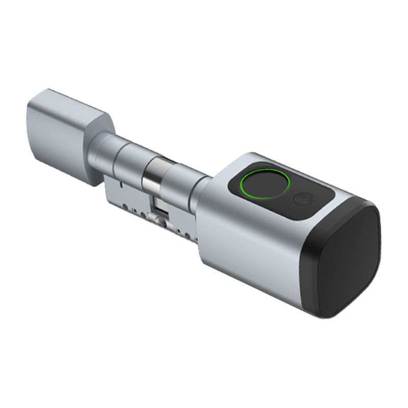 Avatto SDL-V1-S100 100mm Sølv digital låse cylinder