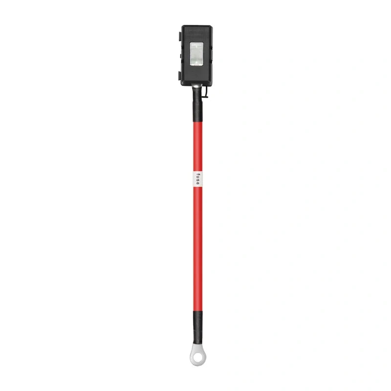 EcoFlow-generatoropladerens sikringskabel