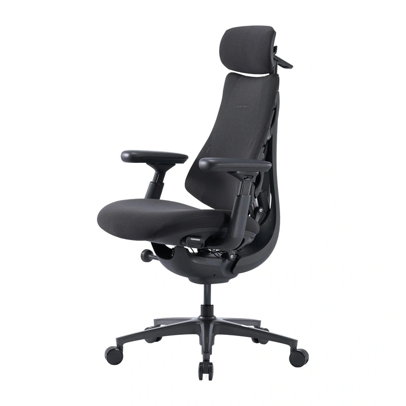 LiberNovo Omni Pro 48 cm Ergonomisk stol (Grafit)