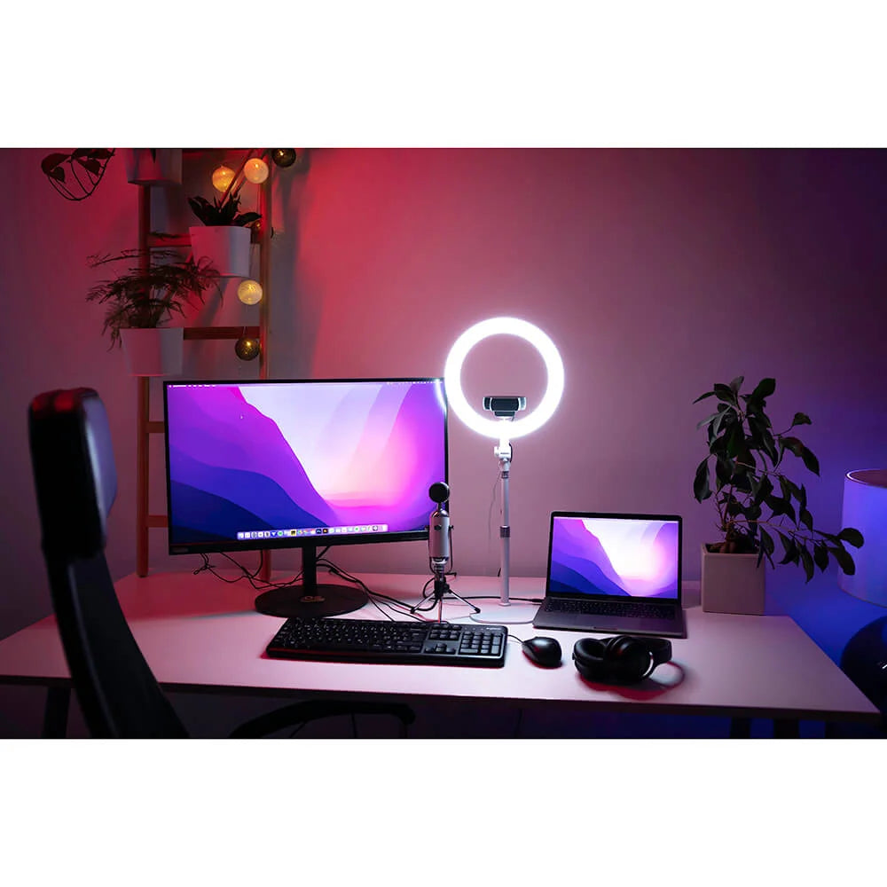 LED Ring Desk Light 10"