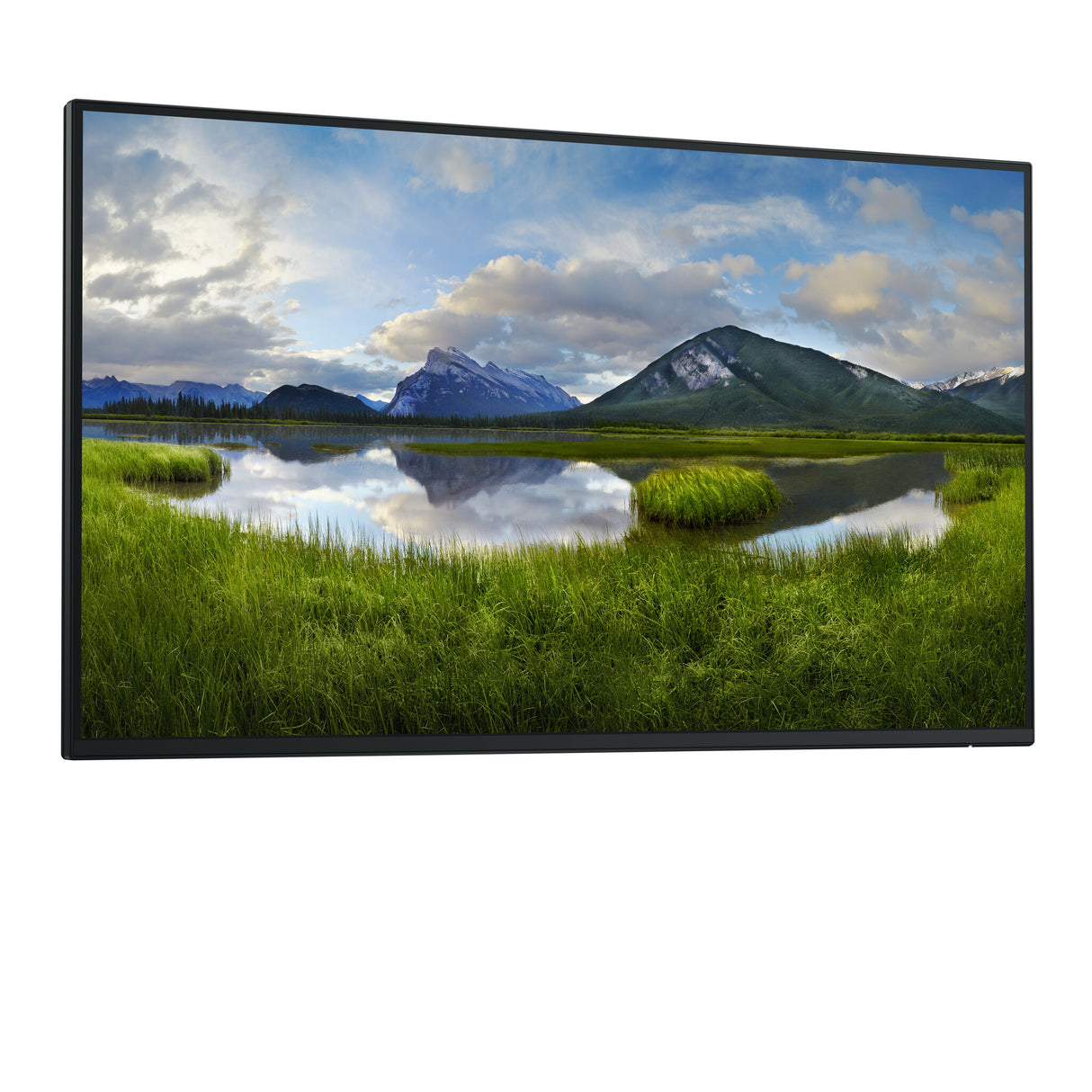 DELL Pro Plus P2725H_WOST computerskærm 68,6 cm (27") 1920 x 1080 pixel Fuld HD LCD Sort