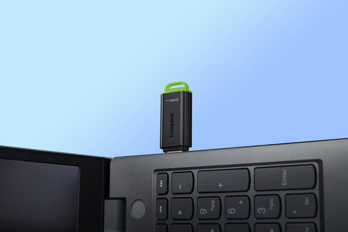 Kingston Technology DataTraveler Exodia USB-nøgle 256 GB USB Type-A 3.2 Gen 1 (3.1 Gen 1) Sort, Grøn