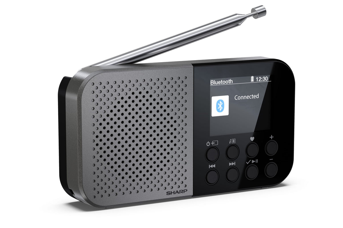 Sharp DR-P520 Personal Digital Grey