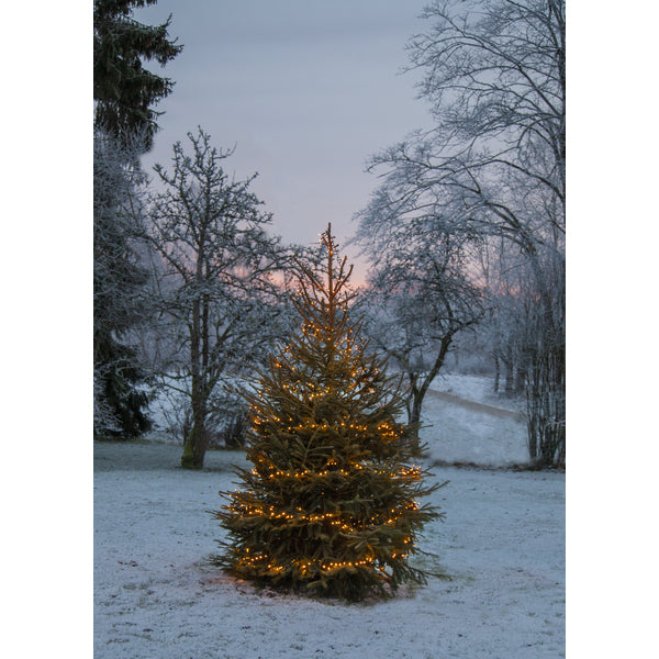 Star Trading Golden Warm White 1200 LED lyskæde