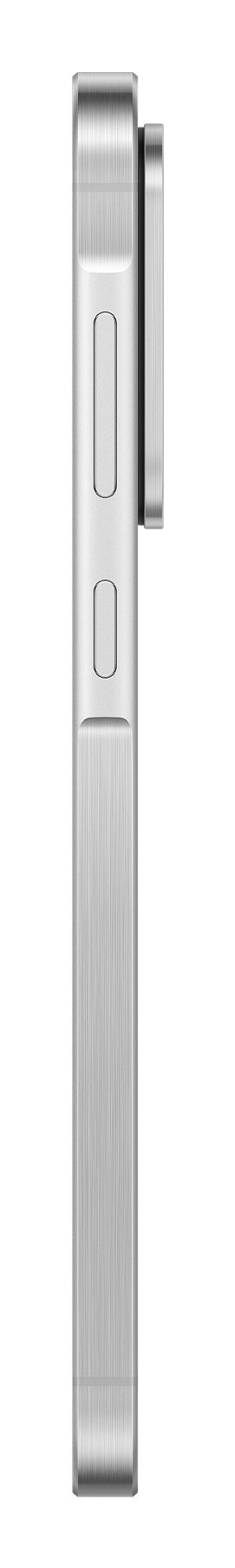 Samsung A56 5G 8/256GB Lightgray DE