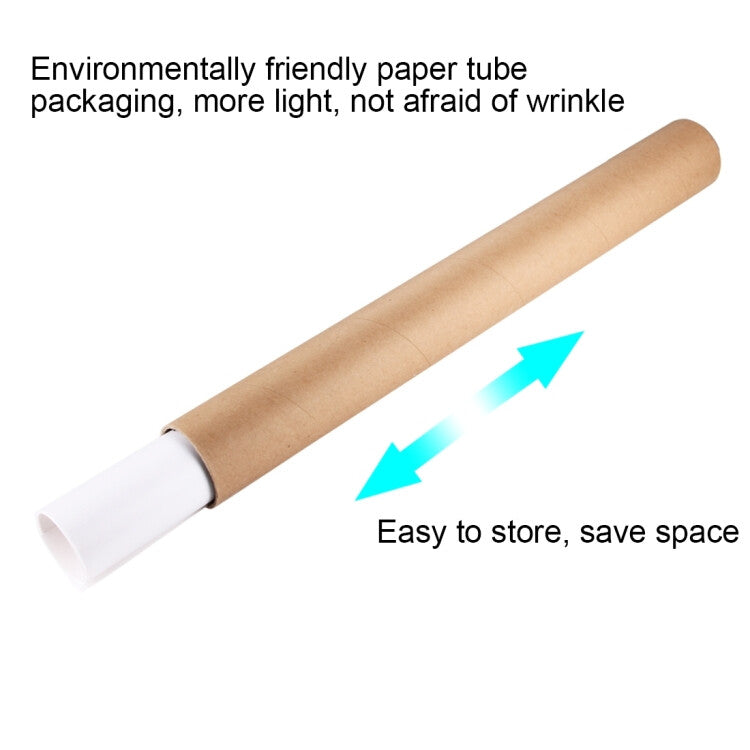 Puluz PU5321W foto baggrund Polyvinylchlorid (PVC) Monokromatisk Hvid