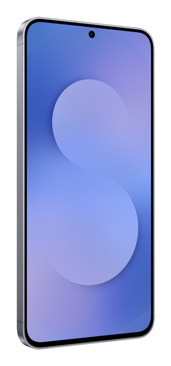Samsung Galaxy S25 FE 17 cm (6.7") Dual SIM Android 16.0 5G USB Type-C 8 GB 256 GB 4900 mAh Marineblå