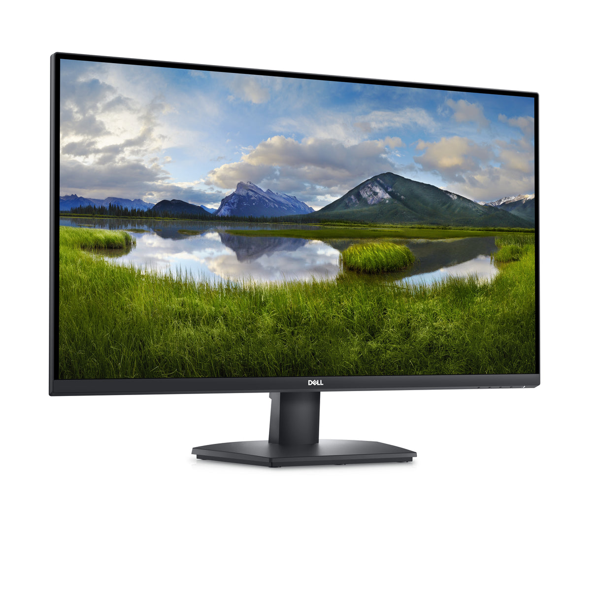 Dell SE3223Q 31.5 3840 x 2160 (4K) HDMI DisplayPort 60Hz