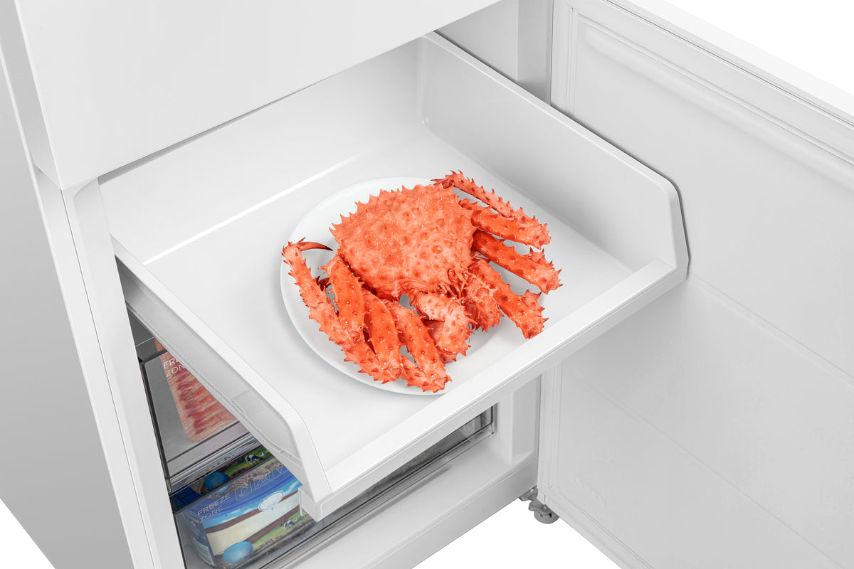 TCL RP456BWE0NE fritstående kølefryseskab