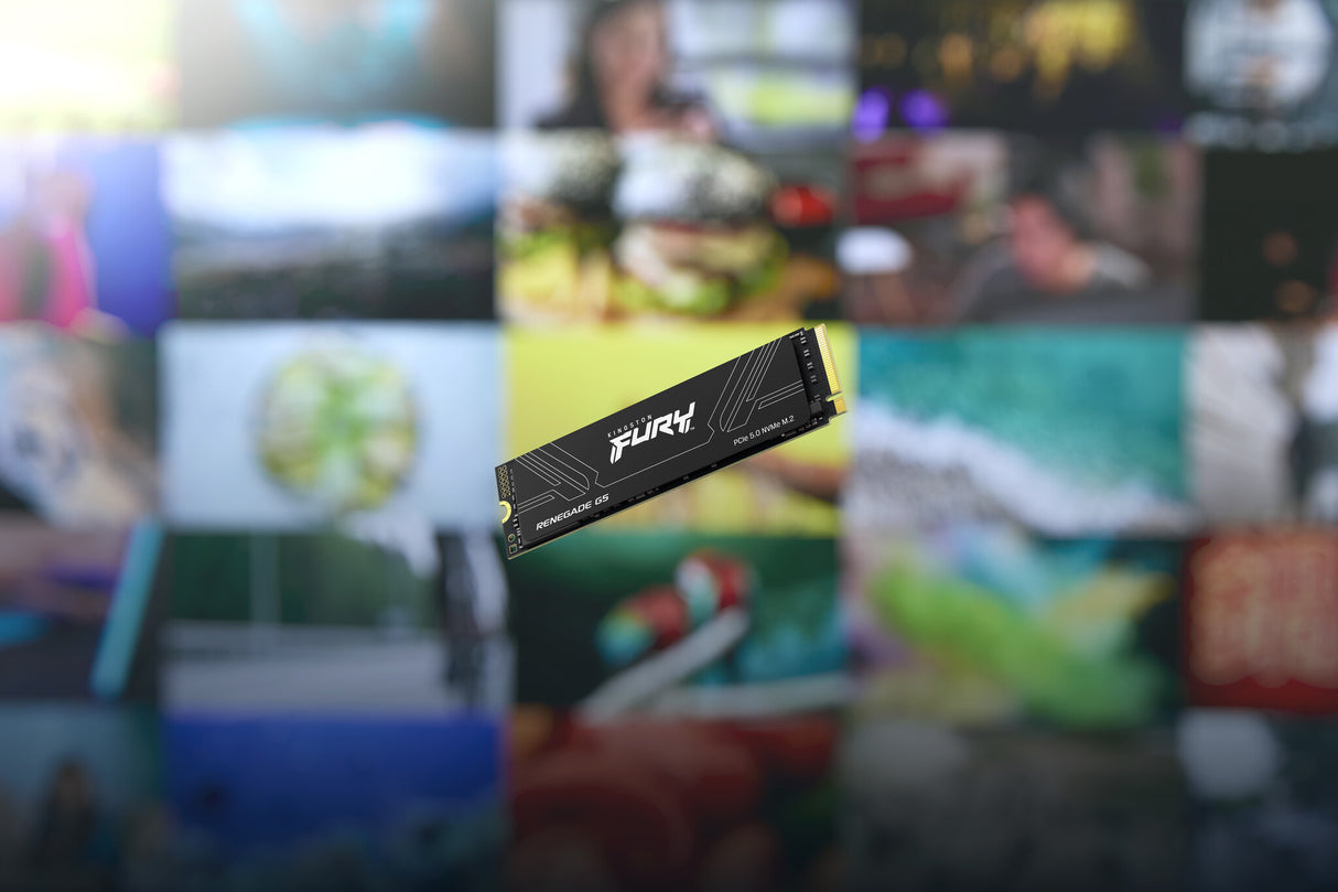 Kingston Technology 2T FURY RENEGADE G5 M.2 2280 NVMe SSD