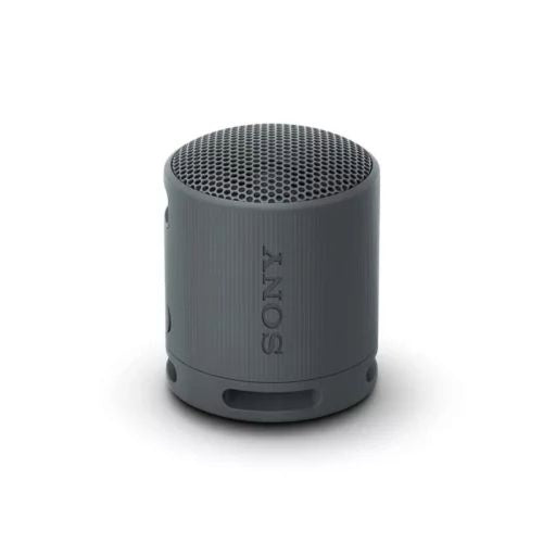 Sony SRS-XB100 Bluetooth-højttaler sort EU