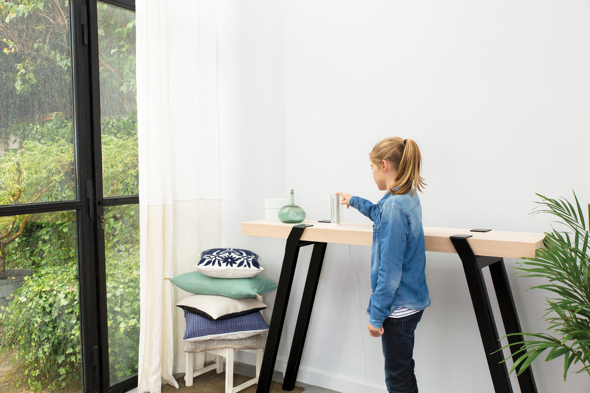 Netatmo NWS01-EC digital vejrstation Aluminium Batteri/USB Wi-Fi