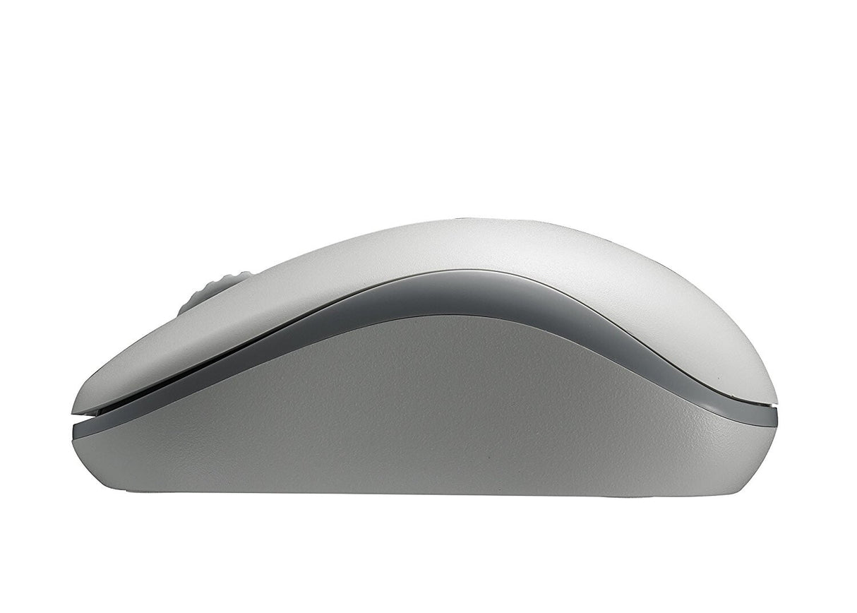 Rapoo M10 Plus mus Kontor Ambidextrous RF trådløst Optisk 1000 dpi