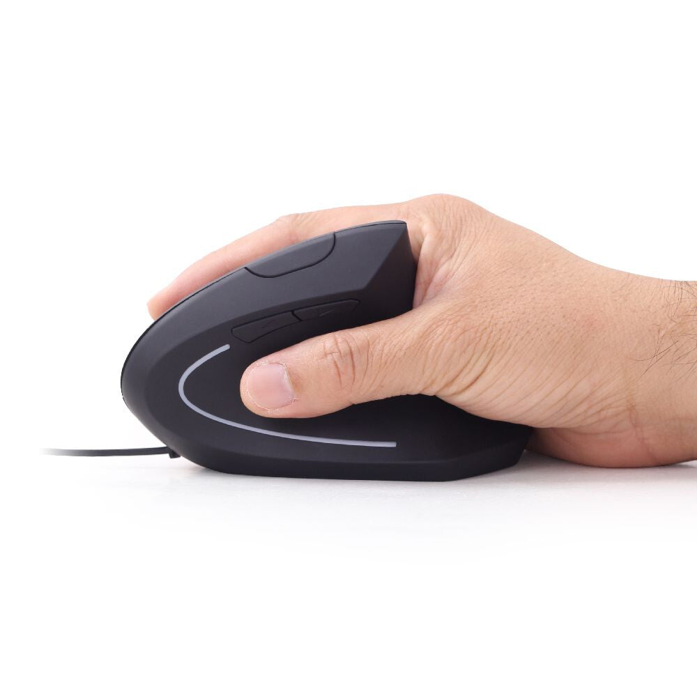Gembird -ERGO-01 mus Kontor Højre hånd USB Type-A Optisk 3200 dpi