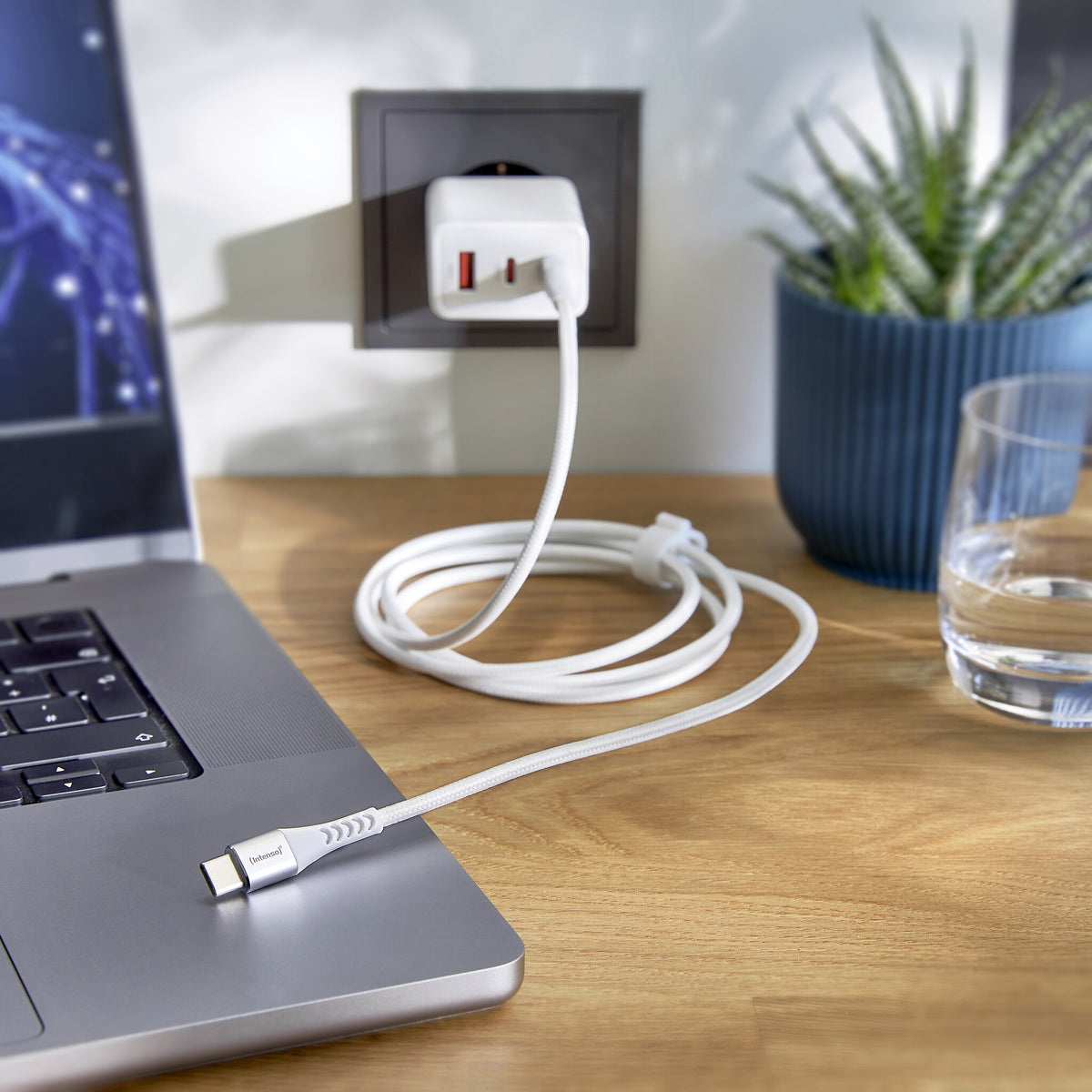 Intenso 7901002 USB-C - USB-C cable C315C