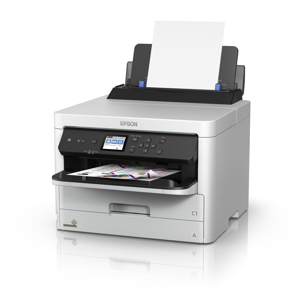 Epson T01D100 blækpatron 1 stk Original Højt (XL) udbytte Sort