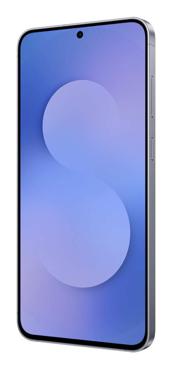 Samsung Galaxy S25 FE 17 cm (6.7") Dual SIM Android 16.0 5G USB Type-C 8 GB 128 GB 4900 mAh Marineblå