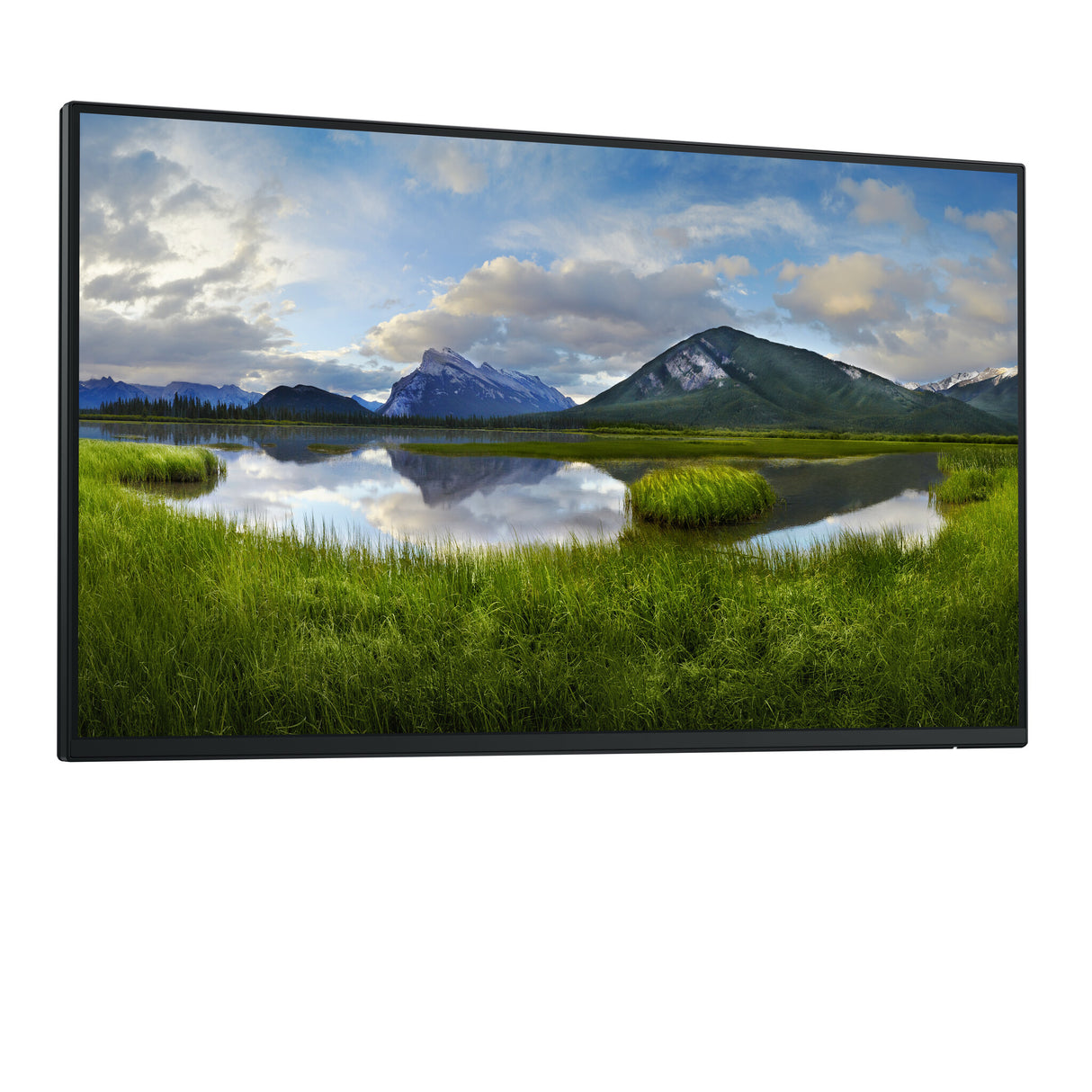 DELL Pro Plus P2425H_WOST computerskærm 61 cm (24") 1920 x 1080 pixel Fuld HD LCD Sort