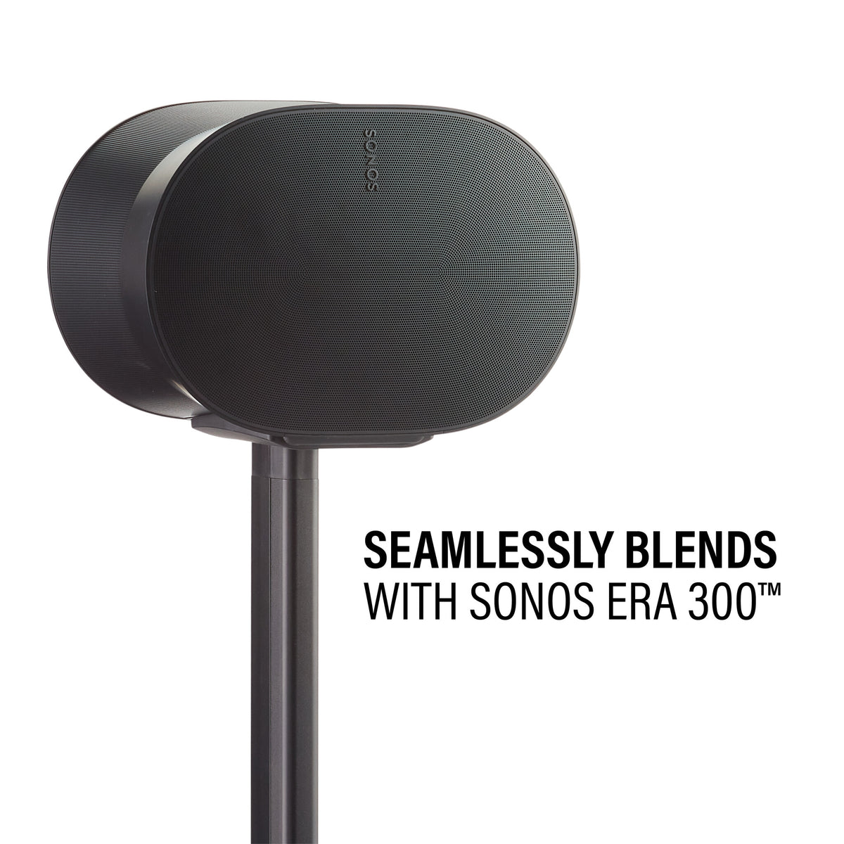 SANUS WSSE31 Gulv Sort