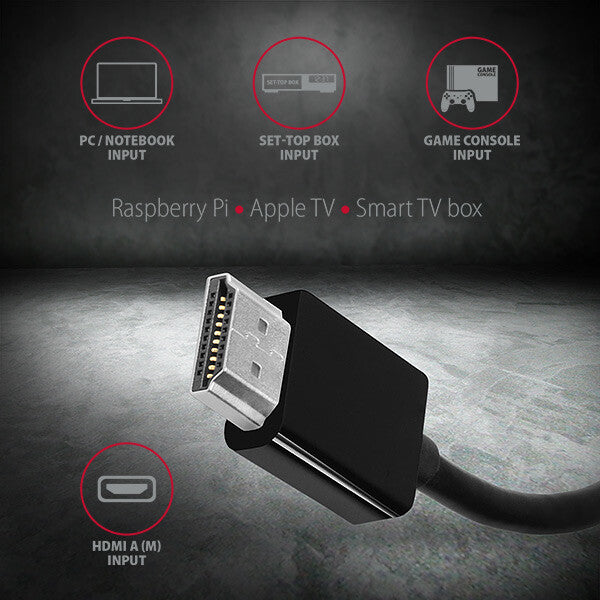 Axagon RVH-VGAN videokabel adapter 0,15 m HDMI Type A (Standard) VGA (D-Sub) Sort