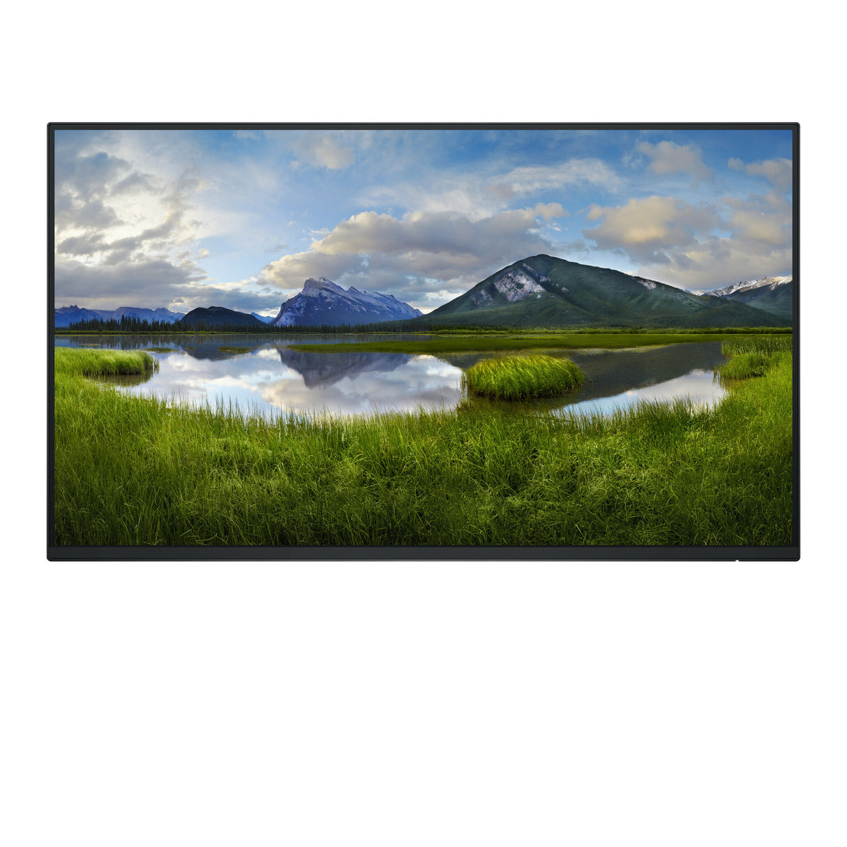 DELL Pro Plus P2425H_WOST computerskærm 61 cm (24") 1920 x 1080 pixel Fuld HD LCD Sort