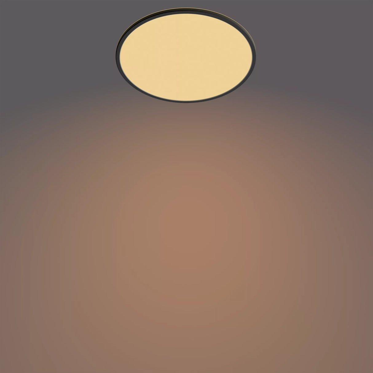 Philips Funktionel Super Slim loftslampe 22 W