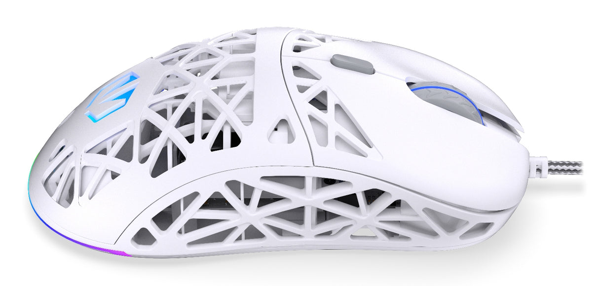 ENDORFY LIV Onyx White mus Spil Ambidextrous Bluetooth Optisk 12000 dpi
