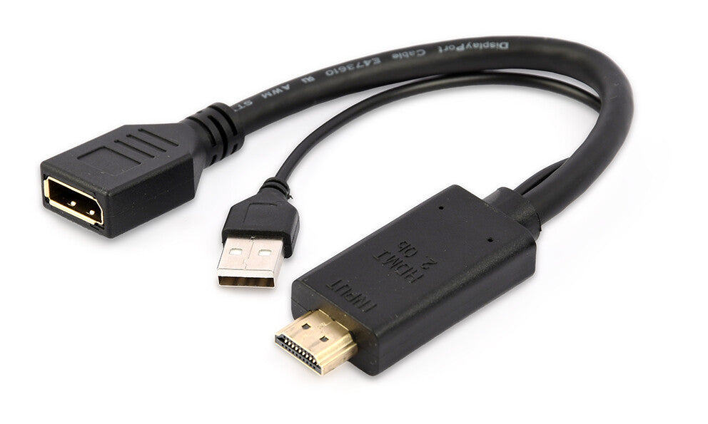 Gembird A-HDMIM-DPF-01 videokabel adapter 0,1 m HDMI Type A (Standard) DisplayPort + USB Type-A Sort