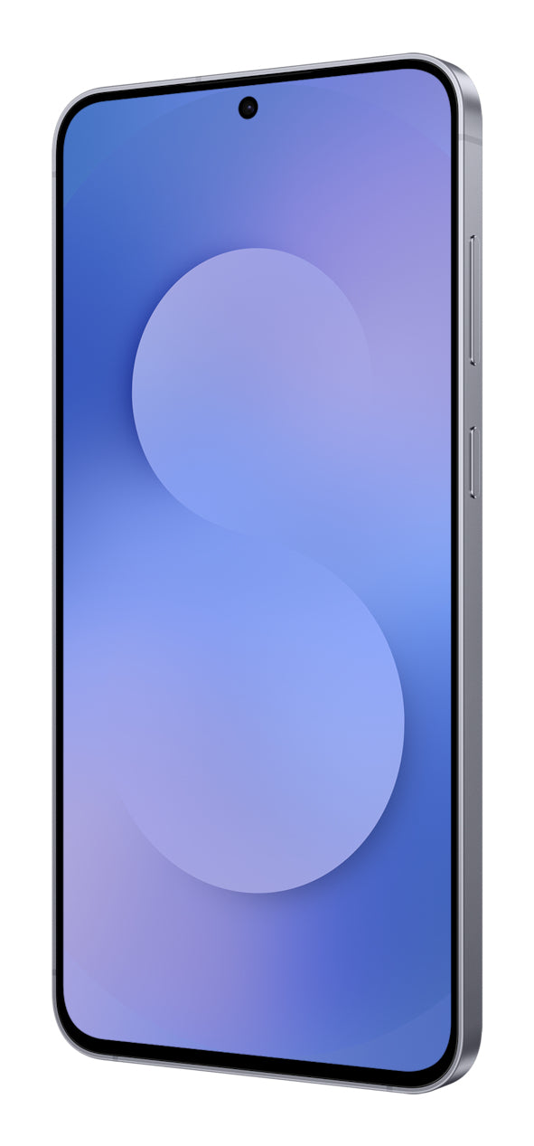 Samsung Galaxy S25 FE 17 cm (6.7") Dual SIM Android 16.0 5G USB Type-C 8 GB 128 GB 4900 mAh Marineblå