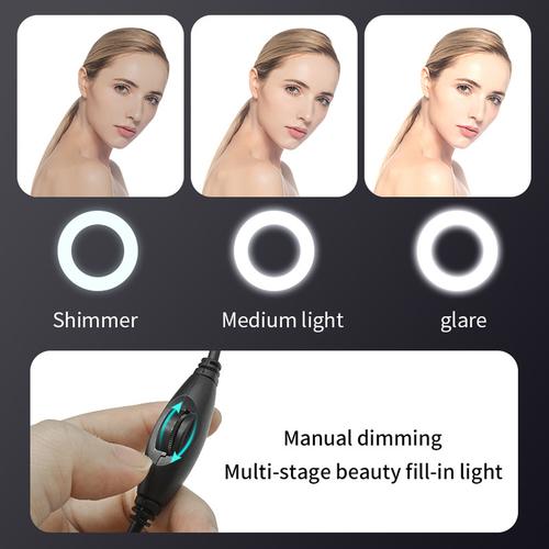 Platinet USB Webcam with Ring Light, Two Megapixels, 1080p Full HD, USB-A, Integrated Microphone (noise cancelling), Adjustable Clip Base, 30 frames per second, Black, Cable 1.5m, One Year Warranty, Box