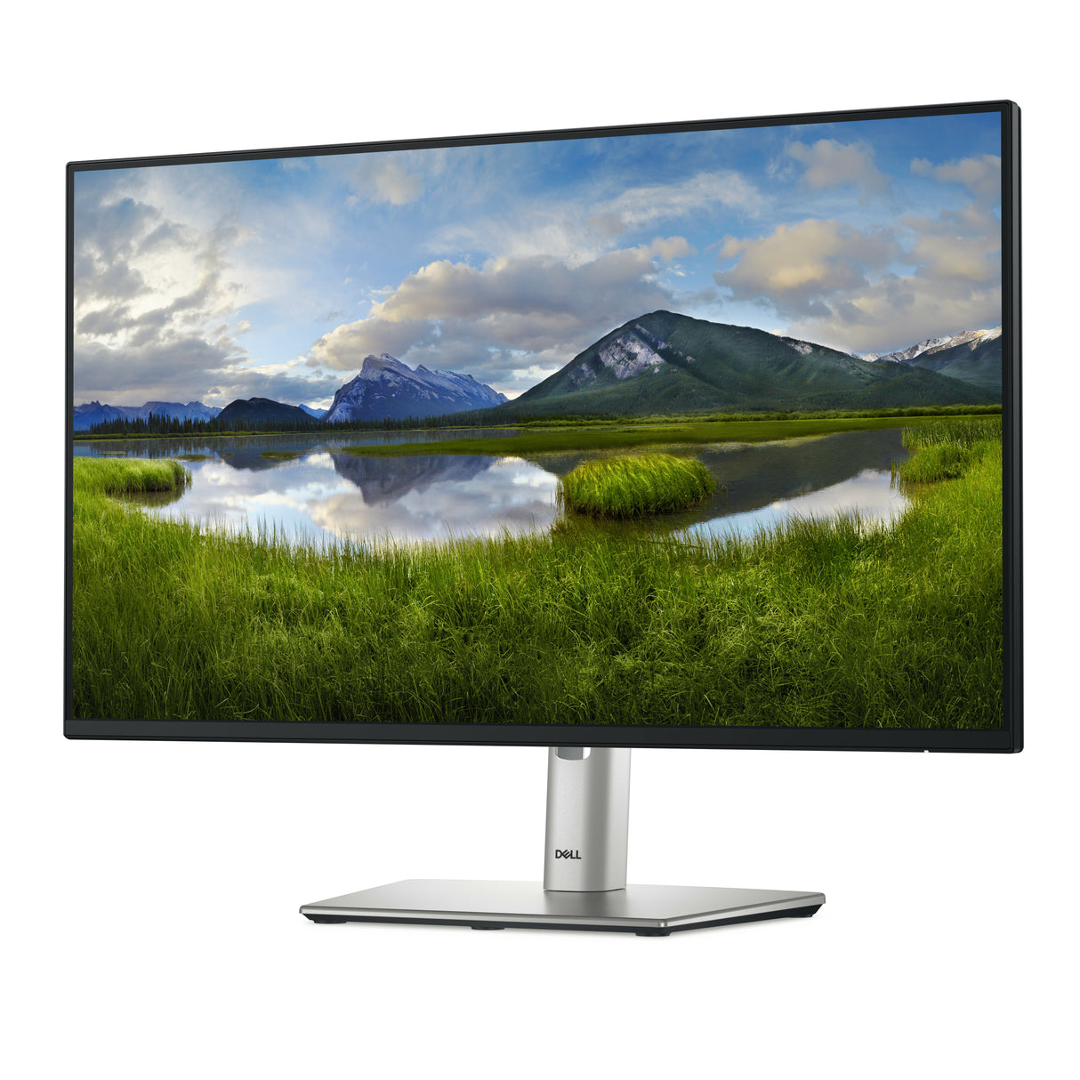 DELL Pro Plus P2425H computerskærm 60,5 cm (23.8") 1920 x 1080 pixel Fuld HD LCD Sort
