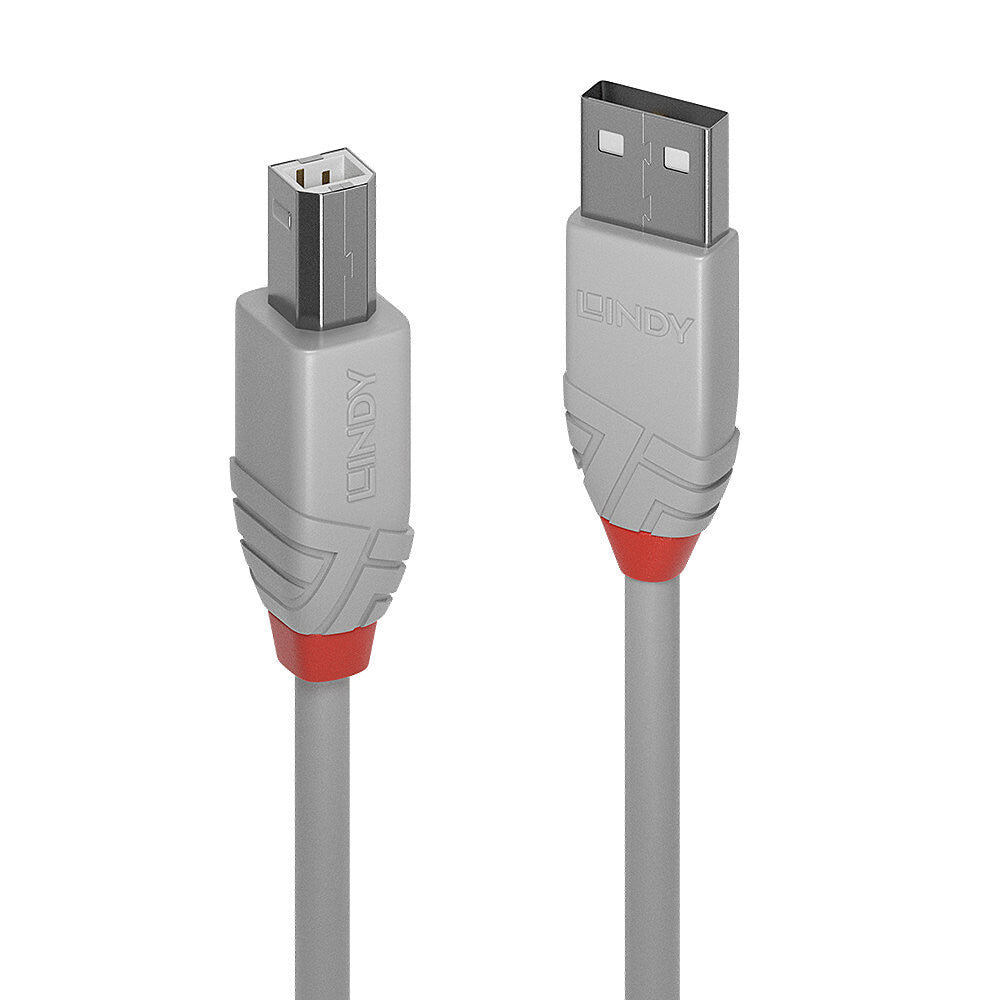 Lindy 36683 USB-kabel USB 2.0 2 m USB A USB B 0,48 Gbit/sek. Grå
