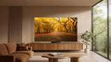 TCL 65C8L SQD-Mini LED Google TV