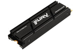 Kingston Technology 2000G RENEGADE PCIe 4.0 NVMe SSD M/HEATSINK