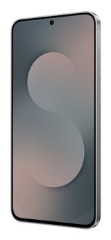 Samsung Galaxy S25 FE Enterprise Edition 17 cm (6.7") Dual SIM Android 16.0 5G USB Type-C 8 GB 128 GB 4900 mAh Sort