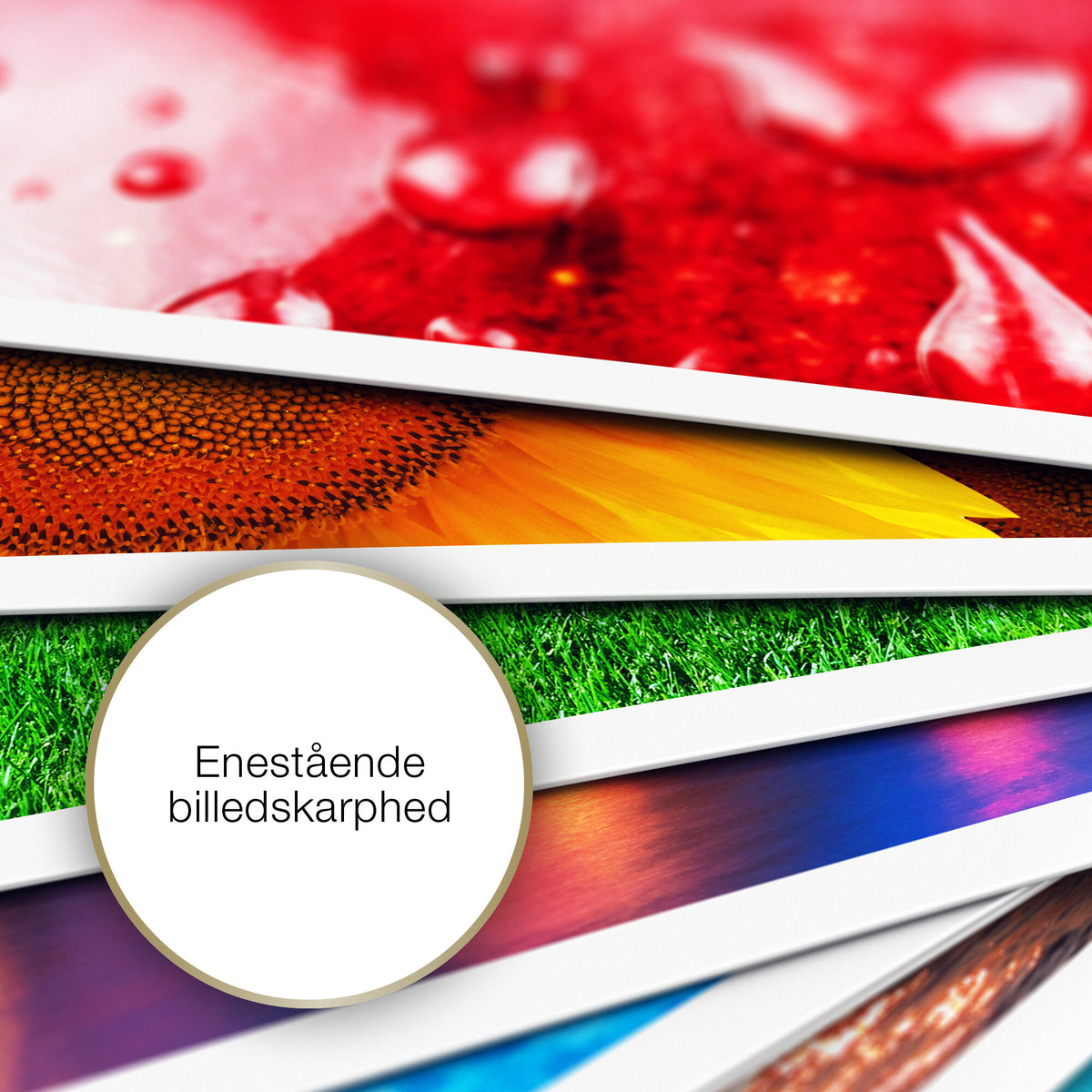 Epson Premium blankt fotopapir, (130 x 180 mm), 255 g/m2, 30 ark