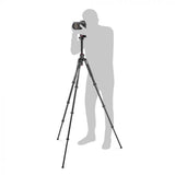 Manfrotto MKBFRA4GTXP-BH kamerastativ Digital-/filmkameraer 3 ben Sort