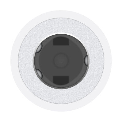 Apple MW2Q3ZM/A lydkabel USB-C 3.5mm Hvid